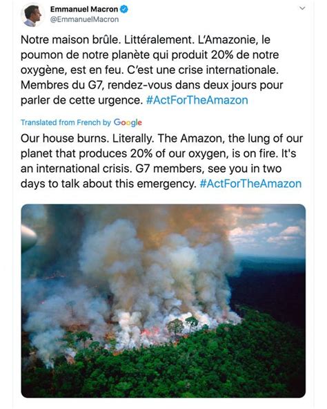amazon rainforest fires are fake